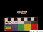 L_V23d1166 J1q388.1 Ux03 dM f151